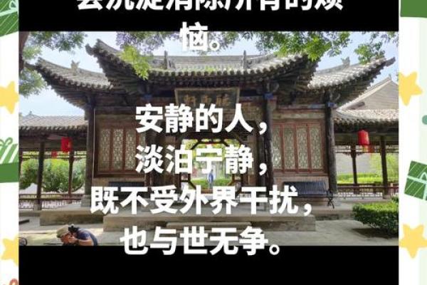 命淡泊的深意与生活哲学：追求内心的宁静与幸福