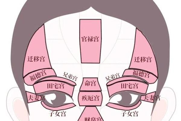 揭秘男生面相：富贵命的面容特征与解析