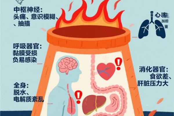 什么命的人不感觉冷,解密体质与温度的秘密! 什么命的人不感觉冷,解密体质与温度的秘密!