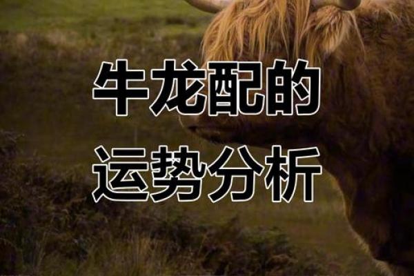 1997年属牛的命运解析：探索牛年人的性格与运势