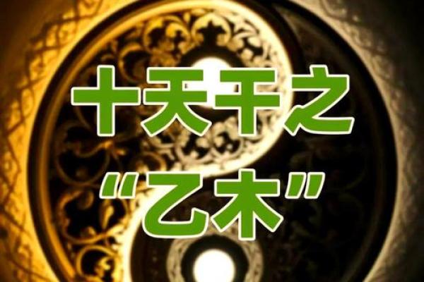 探寻木命人的幸运数字：助力生活与事业的秘密！