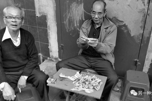 1995年正月十三,命理中的启示与探索 1995年正月十三,命理中的启示与探索