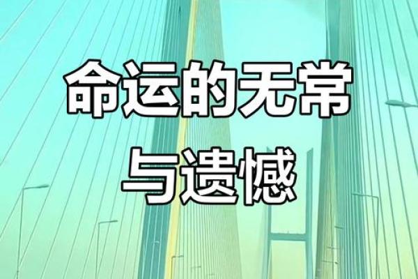1995年出生的人命运与人生旅程的探讨