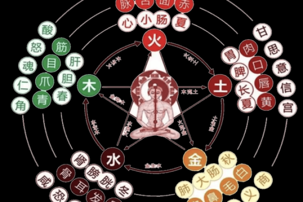 2000金龙命的命理解析:如何弥补命中之缺? 2000金龙命的命理解析:如何弥补命中之缺?