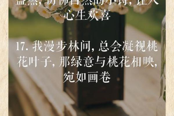 命里无桃花,如何解读人生的孤独与自我成长? 命里无桃花,如何解读人生的孤独与自我成长?