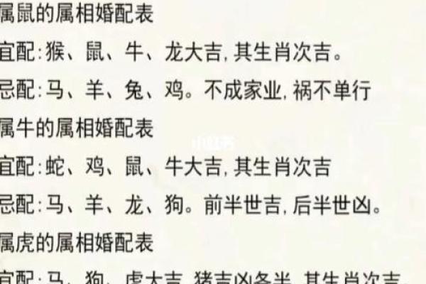 如何查询自己的属相和命理,揭开生命的奥秘! 如何查询自己的属相和命理,揭开生命的奥秘!
