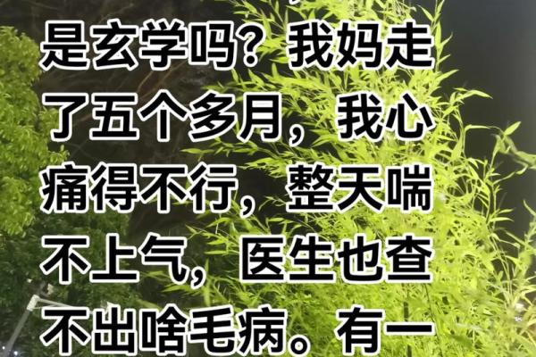 身边的人频频生病,生命的脆弱让我们不得不深思 身边的人频频生病,生命的脆弱让我们不得不深思