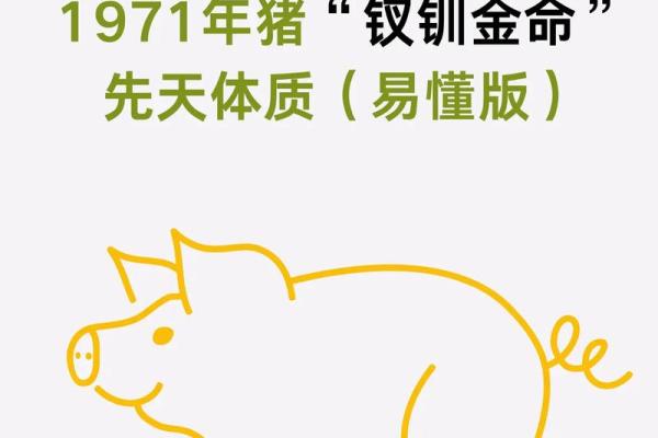 申时属猪男孩的命运与性格分析：揭示他的成长和未来潜力