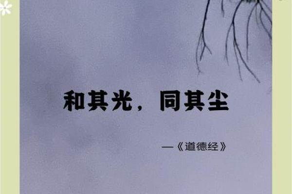 命与运的辩证关系：周文强视角下的生命之道