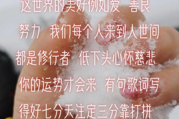 命与运的辩证关系：周文强视角下的生命之道