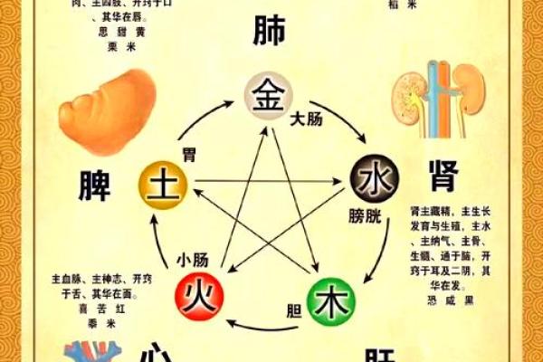 1959年出生的人命运解析:五行与性格的奇妙联系 1959年出生的人命运解析:五行与性格的奇妙联系