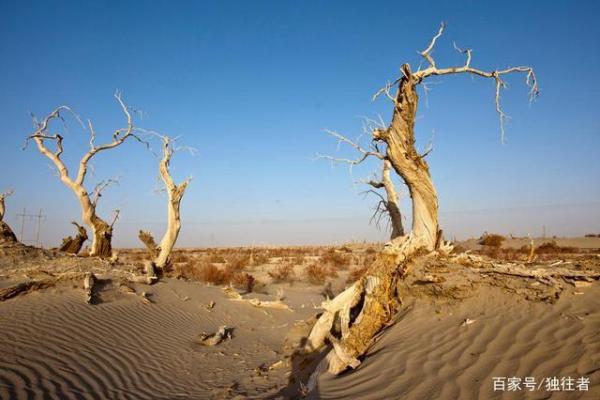 中指长于食指的命运启示:解锁人生潜力的秘密 中指长于食指的命运启示:解锁人生潜力的秘密