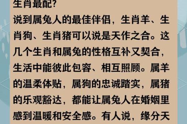 1979年的生肖与命运解析:发现属于你的幸福密码! 1979年的生肖与命运解析:发现属于你的幸福密码!