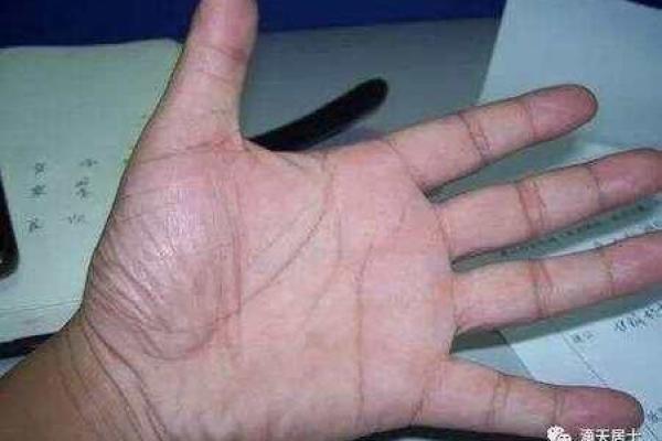 手背肉嘟嘟，揭示你性格与命运的秘密