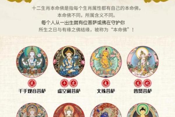 甲木命之人最喜爱的生肖揭秘:你属于哪一类? 甲木命之人最喜爱的生肖揭秘:你属于哪一类?