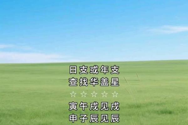 华盖入命，命理与人生的奇妙交织与启示