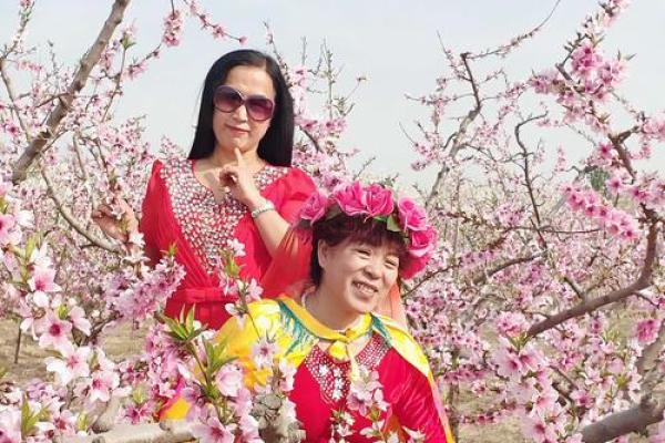 没有桃花的人生命运解析：为何桃花缘薄？