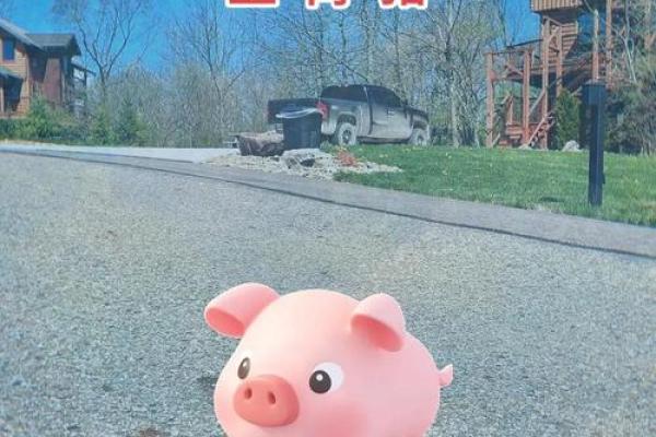 属猪40岁的人生轨迹与命运解析