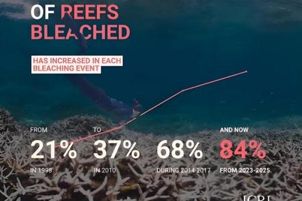 探索海水命：海洋与人生的深刻联结