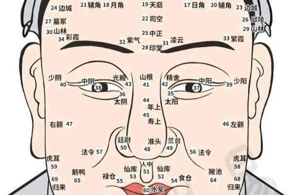 脸颊丰满的命运解析：它们预示着什么？