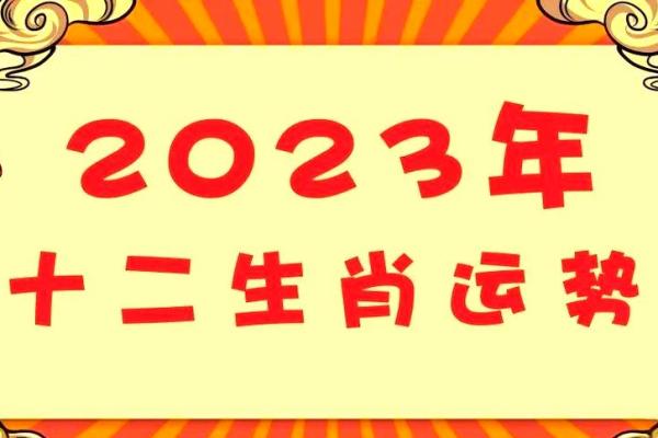 年末老鼠解析:2023年这个生肖的命运走势与运势指南 年末老鼠解析:2023年这个生肖的命运走势与运势指南
