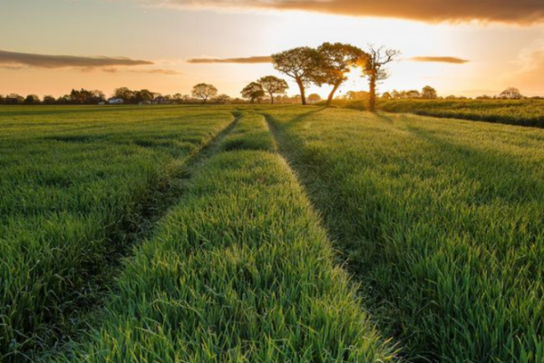 天河水与命运的奇妙羁绊：探寻最佳财富与运势的秘密
