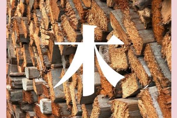 属木命人士最忌的事项与生活建议