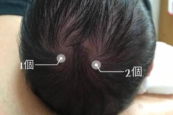 猪年正月出生的男孩命运解析:性格、优势与人生轨迹 猪年正月出生的男孩命运解析:性格、优势与人生轨迹