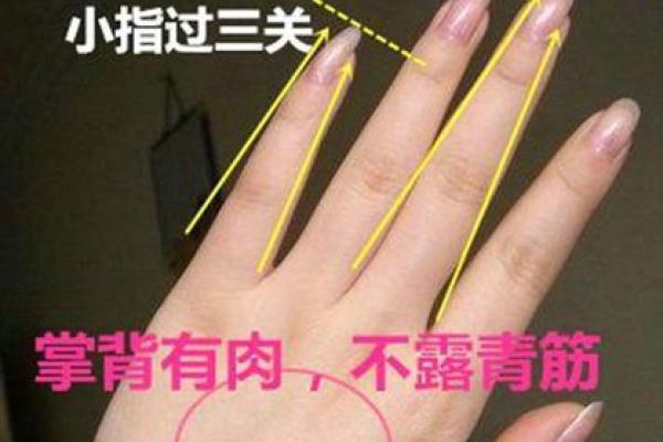 男性手背青筋的秘密:从生理特征看命运走向 男性手背青筋的秘密:从生理特征看命运走向