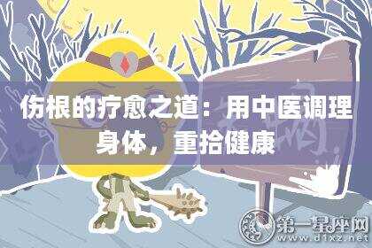 伤根的疗愈之道:用中医调理身体,重拾健康